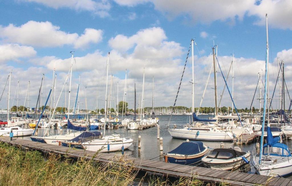 Vakantiewoning aan het Veerse meer Wolphaartsdijk Buitenkant foto